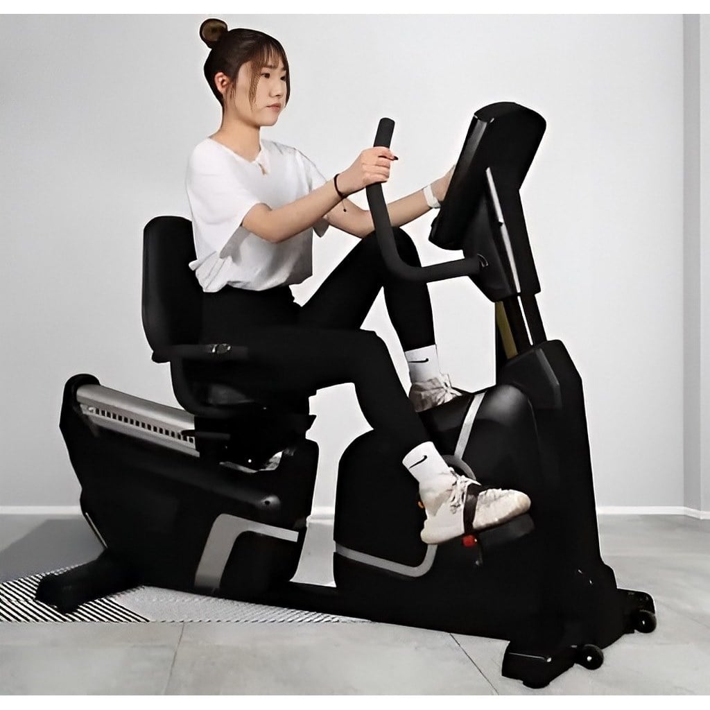 Recumbent Bike