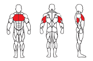 Seated Chest Press TM500
